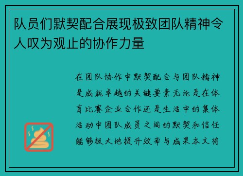 队员们默契配合展现极致团队精神令人叹为观止的协作力量