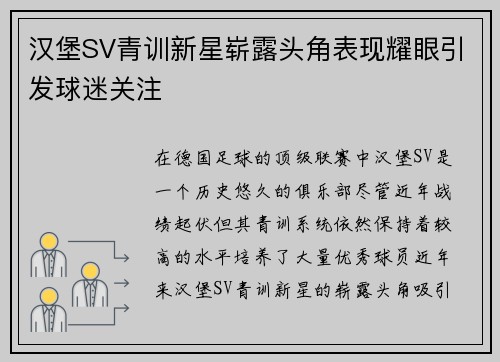 汉堡SV青训新星崭露头角表现耀眼引发球迷关注